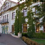 przeszczep włosów cena